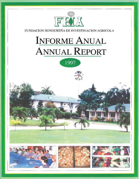 Informe Anual 1997