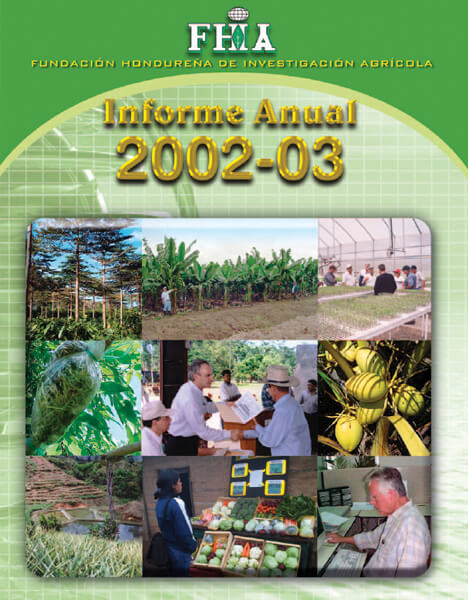 Informe Anual 2002-2003