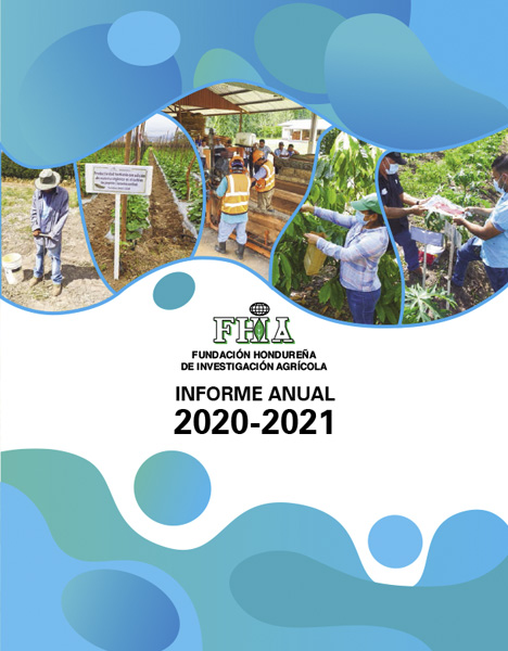 Informe Anual 2020-2021
